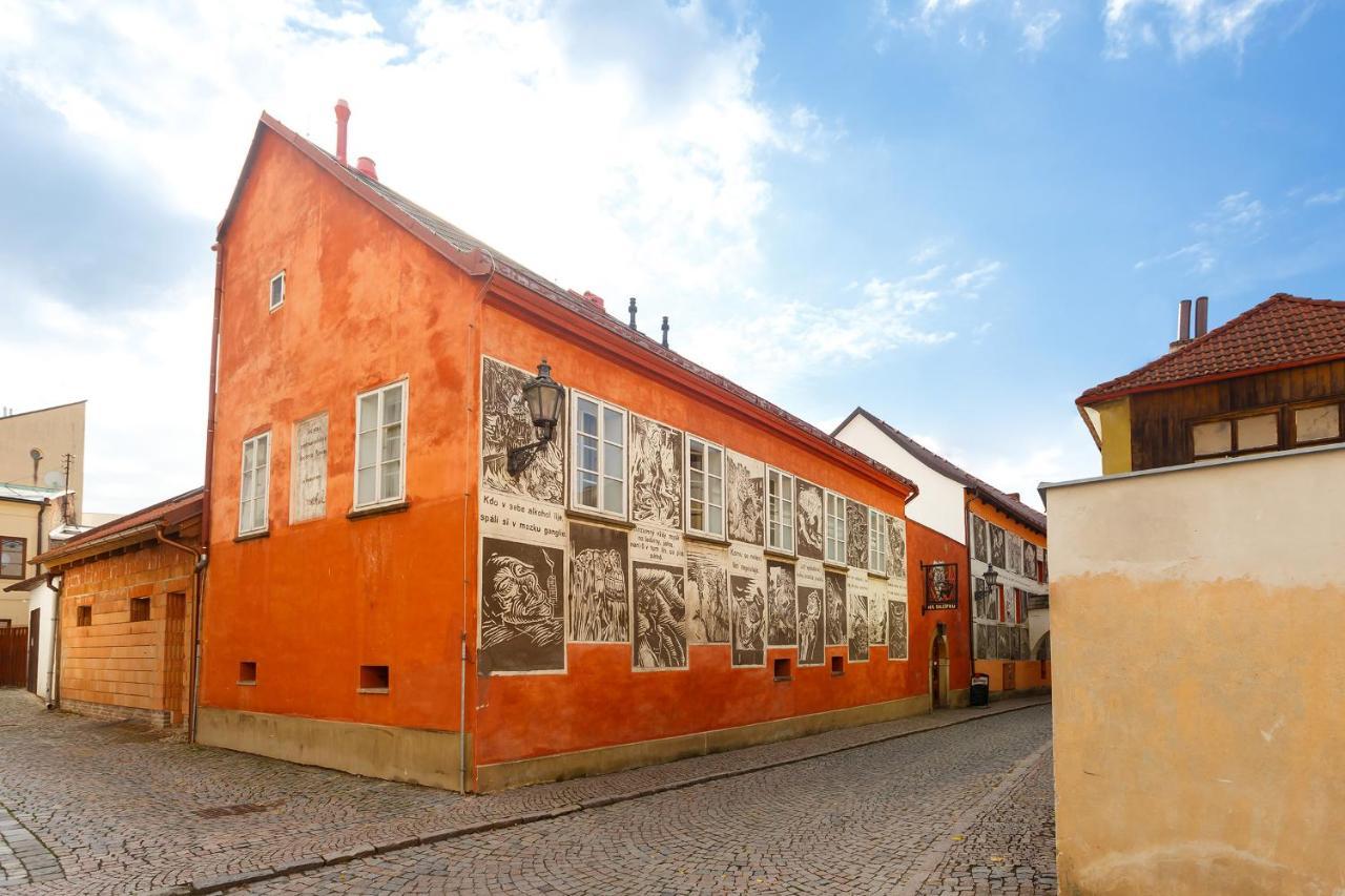 Pension Paseka Litomysl Bagian luar foto